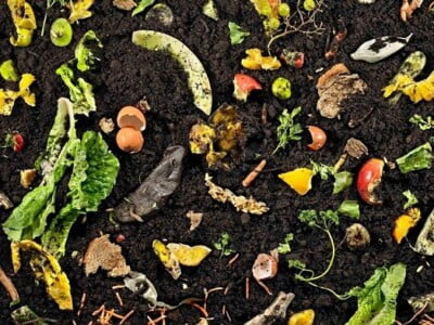 Bioculture For Composting