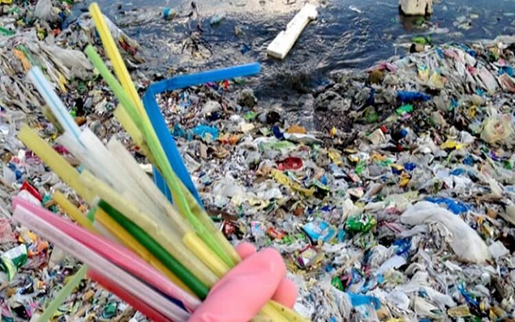 Plastic waste Management EPR