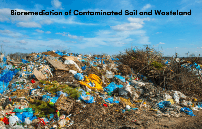 Bioremediation of Contaminated Soil and Wasteland